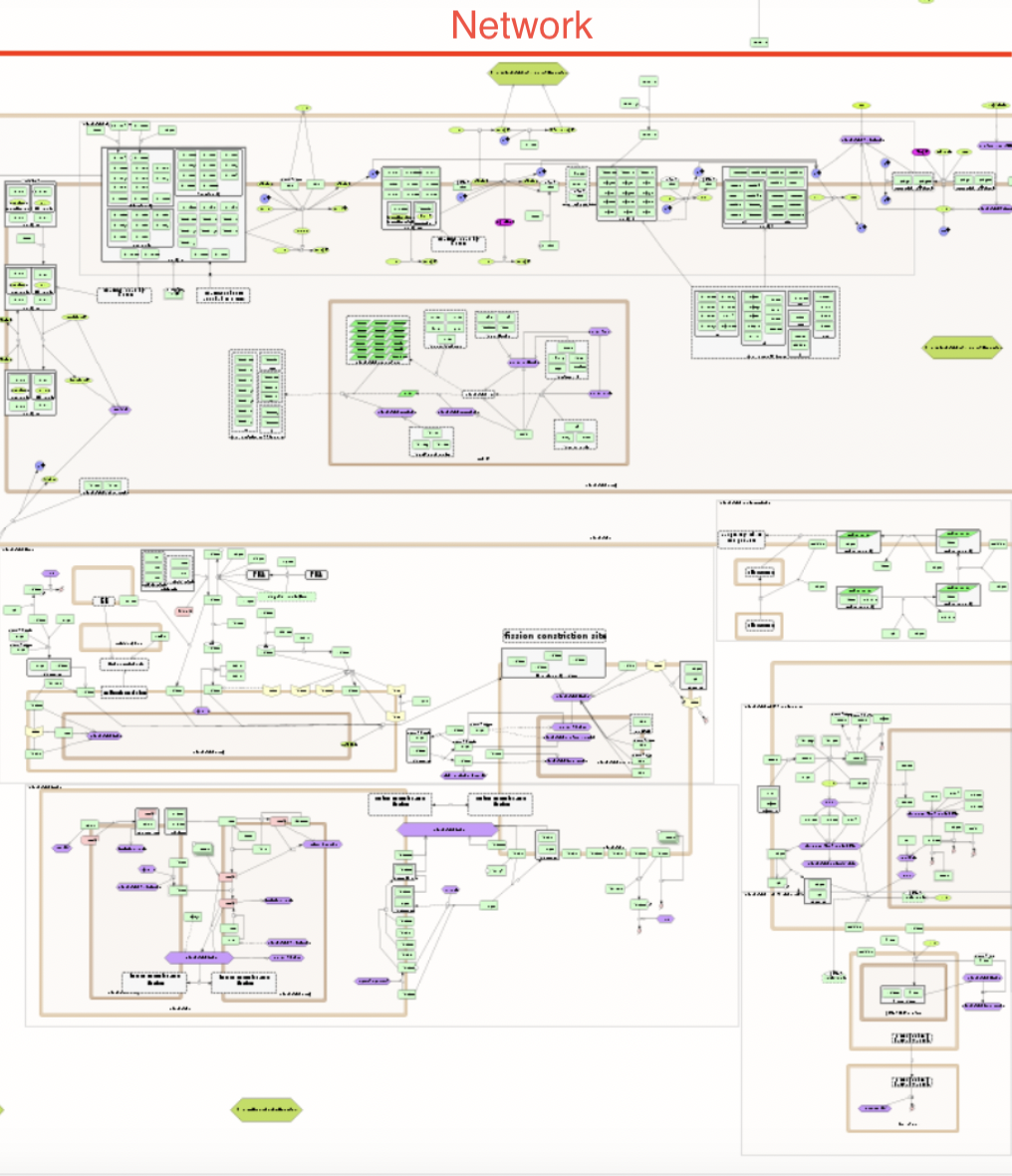 background-network.png